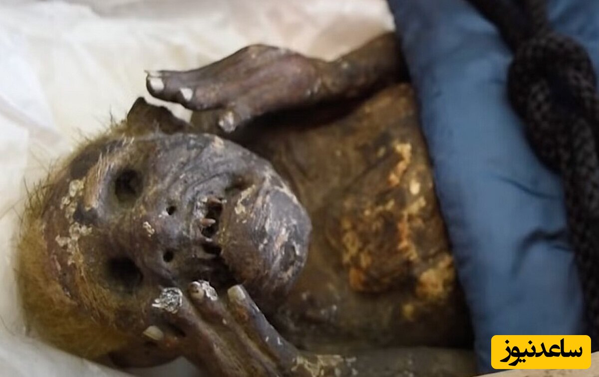 کشف شگفت انگیز مومیایی باستانی با بدن نیمه انسان +عکس