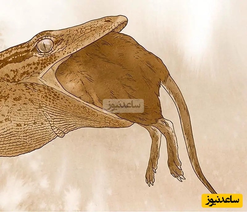 بازسازی Breugnathair elgolensis در حال خوردن یک پستاندار.