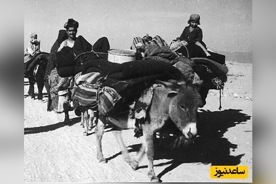 یخ‌رسانی به مردم تهران با الاغ! + عکس / شغل پر درآمد 70 سال پیش در گرمای سوزان تابستان!