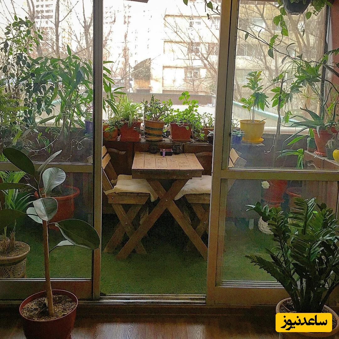 منزل شبنم قربانی