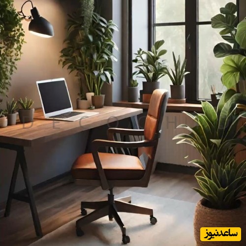 چیدمان اتاق مطالعه