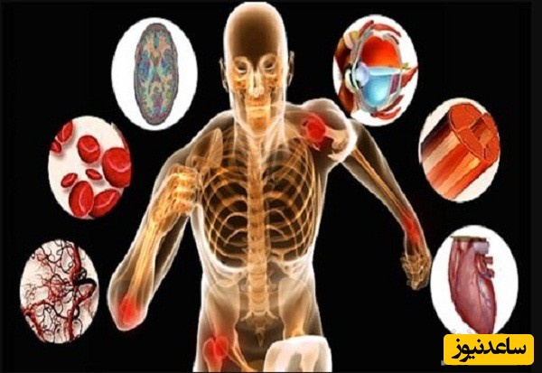 منابع دروس آزمون رشته تربیت بدنی - رفتار حرکتی و ضرایب آن در مقطع دکتری