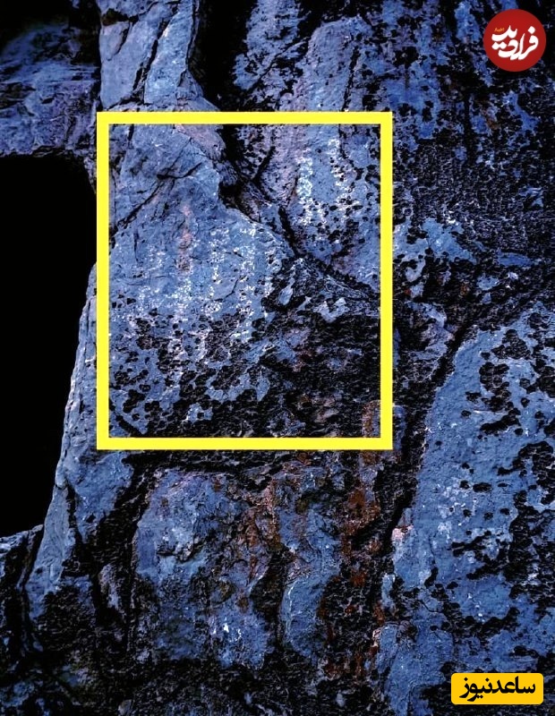 کتیبه 1500 ساله ساسانی روی استخوان‌دان در نقش‌رستم ایران کشف شد