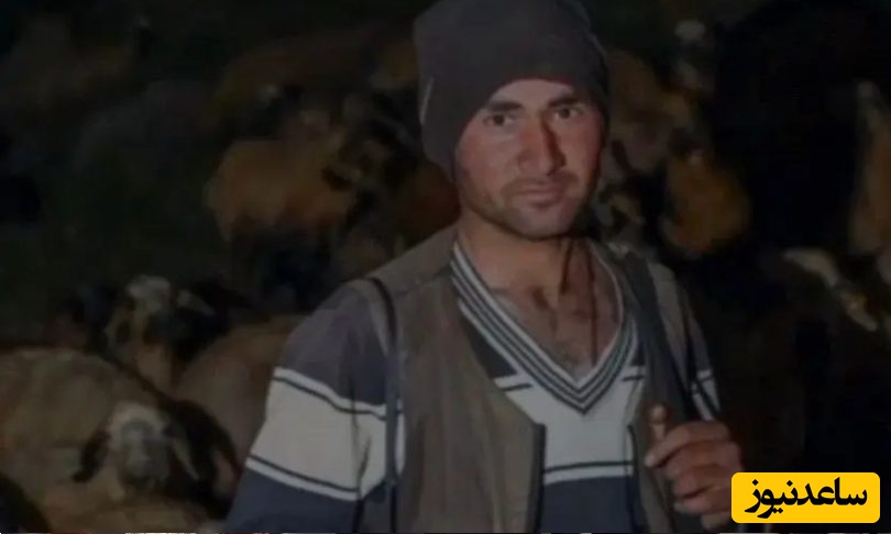 کشف یک کوزه پر از گنج باستانی توسط یک چوپان مشهدی به کمک گوسفندانش که 800 میلیارد می ارزد