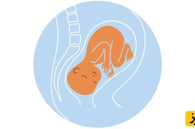 جفت در رحم کجا لانه‌گزینی می‌کند؟ بررسی انواع موقعیت‌های جفت