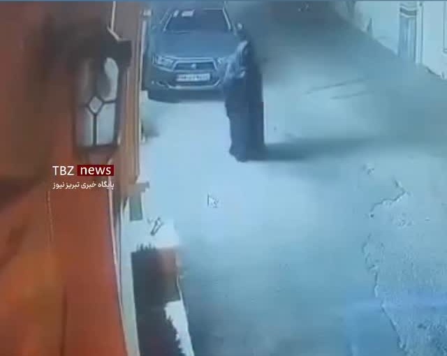 ببینید | صحنه باورنکردنی و عجیب سرقت درخت از باغچه‌ای مقابل یک خانه؛ تا حالا دزد درخت دیده بودید؟🤣