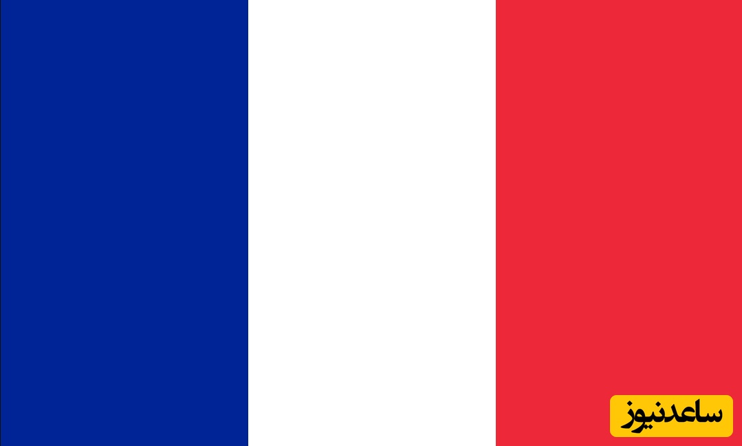 11 تا از بهترین کارتون‌هایی که می‌توانید برای یادگیری زبان فرانسوی از آن‌ها استفاده کنید