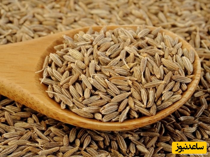 دیدن زیره در خواب چه تعبیری دارد؟ / تعبیر خواب زیره