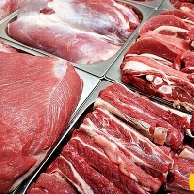 ایده باورنکردنی در تولید گوشت مصنوعی بدون کشتن حیوانات/همش گوشته!+فیلم