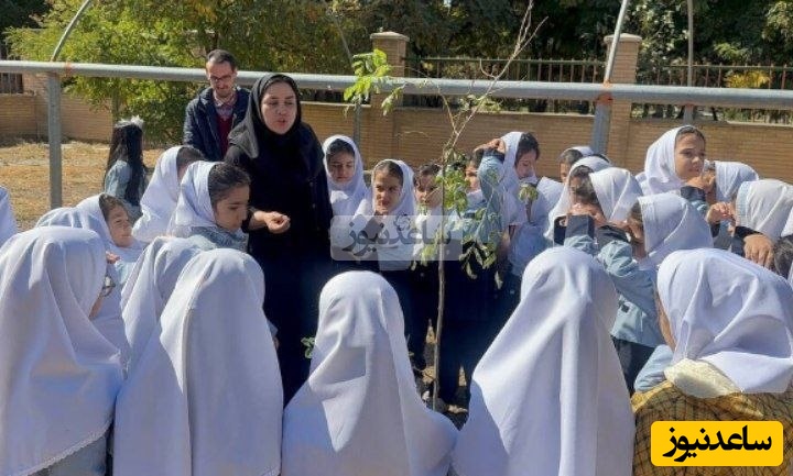 کاشت نهال به یاد «کودکان شهید» توسط مدرسه یاقوت در مرکز شماره 3 کانون تبریز