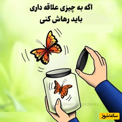 کائنات پیام ویژه‌ای برات داره؛ گاهی همه چیز را باید رها کرد؛ بیا در سکوت یک گوشه امن پناه بگیریم، جایی برای دل خسته‌ها+ ویدیو