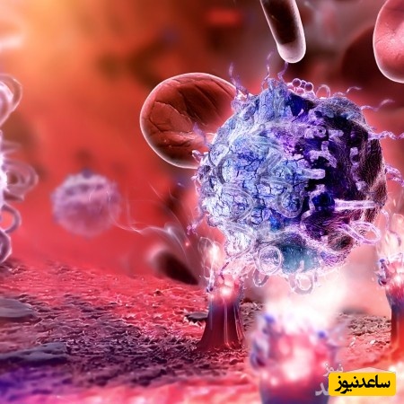 آشنایی با رشته ایمنی شناسی (ایمونولوژی) و بازار کار آن