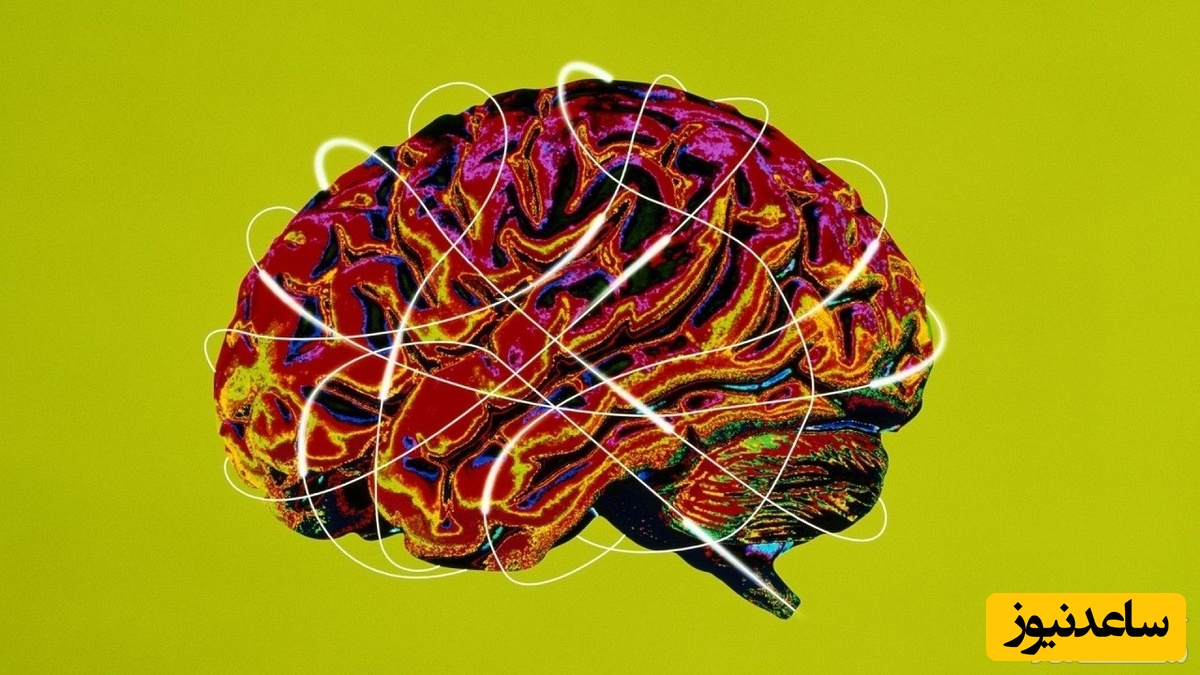 نشانه‌های بالا بودن هوش هیجانی یا EQ