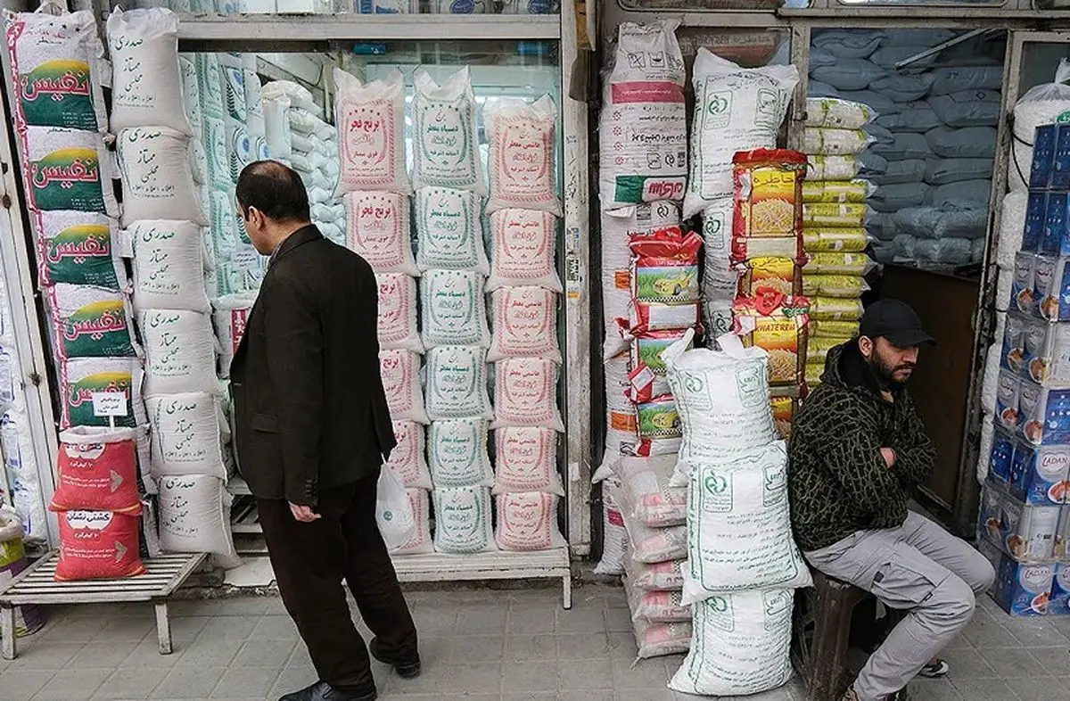 چرا قیمت برنج با وجود فراوانی در بازار کاهش نمی‌یابد؟