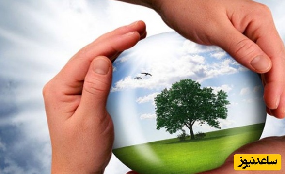 معرفی فصلنامه علوم و تکنولوژی محیط زیست