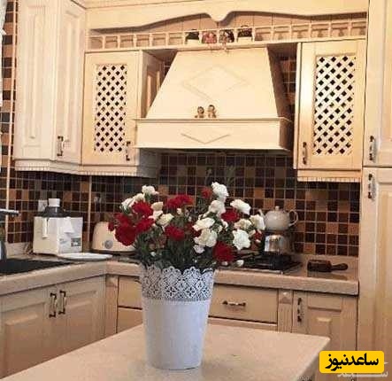 منزل بهنوش طباطبایی