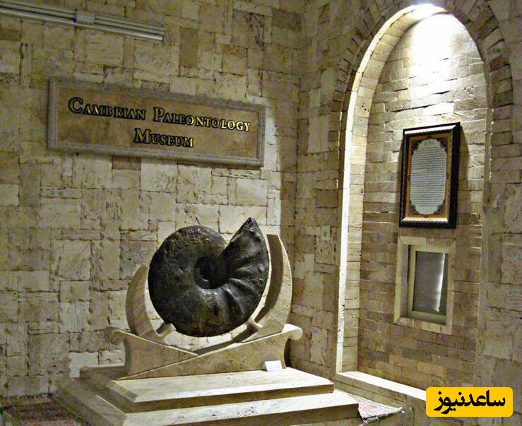 موزه دیرینه شناسی یزد