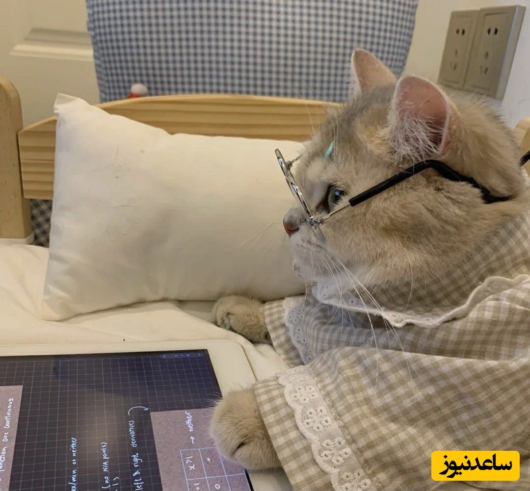 (عکس) پدر و مادر ایرانی که دیگه خسته شدن دست به خلاقیت عجیبی زدن؛ ببینید برای درس خوندن پسرشون دست به چه کاری زدن!😂