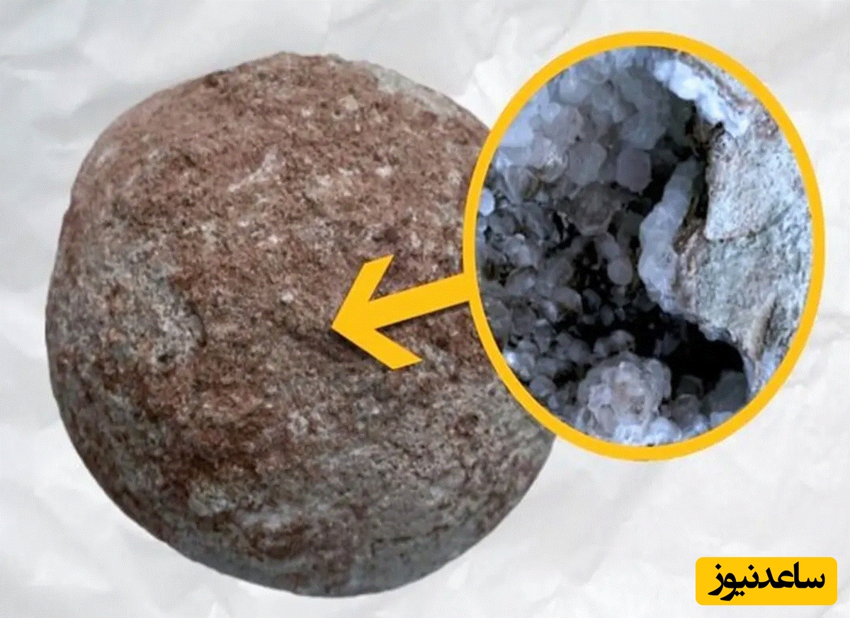 تخم دایناسور 70 میلیون ساله جای بچه‌دایناسور، پر از بلور بود!