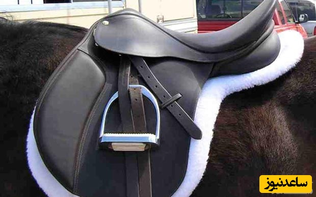 دیدن زین در خواب چه تعبیری دارد؟ / تعبیر خواب زین