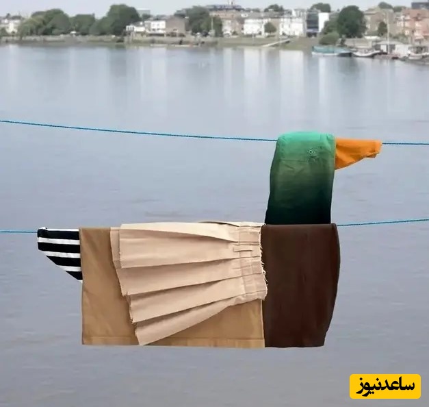 خلاقیت تماشایی هنرمندی که لباس‌های روی بند را تبدیل به تصاویر جذاب و تماشایی می‌کند