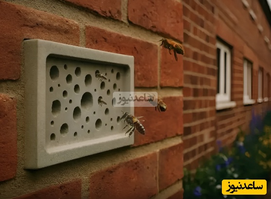 در انگلستان حتی زنبور ها هم حق مسکن دارن/ معماری منحصربه‌فرد انگلیس برای همزیستی با طبیعت!