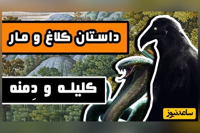 (ویدئو) اگر ضعیف‌تر هستی نترس؛ این حکایت آموزنده کلیله و دمنه به تو یاد می‌دهد چگونه پیروز شوی/ کلاغی که با ترفندی زیرکانه از مار انتقام گرفت!