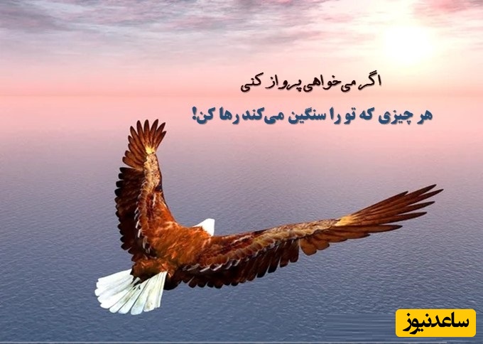 پیام امروز کائنات؛ هر روز یک رویاست، اما هدفی را تعیین کنید که باعث شود از صبح بی‌صبرانه منتظر آن باشید/ پیام انگیزشی امروز 12 آبان 1404+ ویدیو