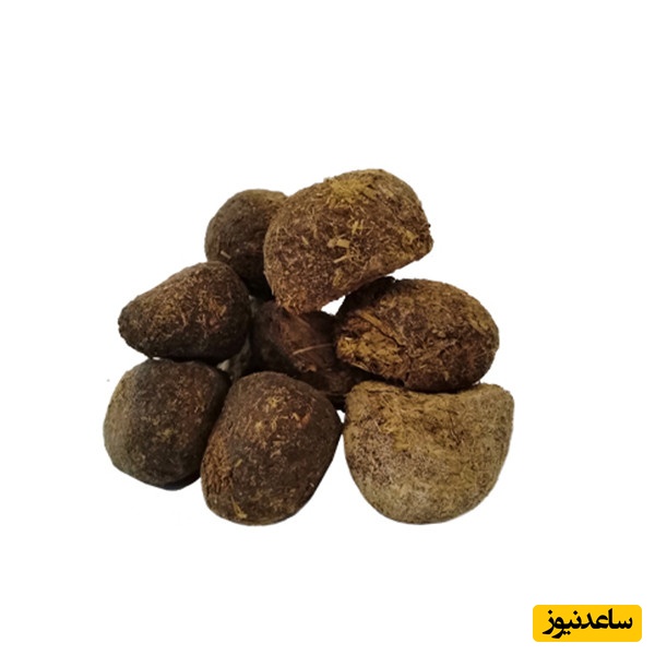 عنبر نسارا