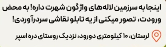 دشت لاله های واژگون لرستان