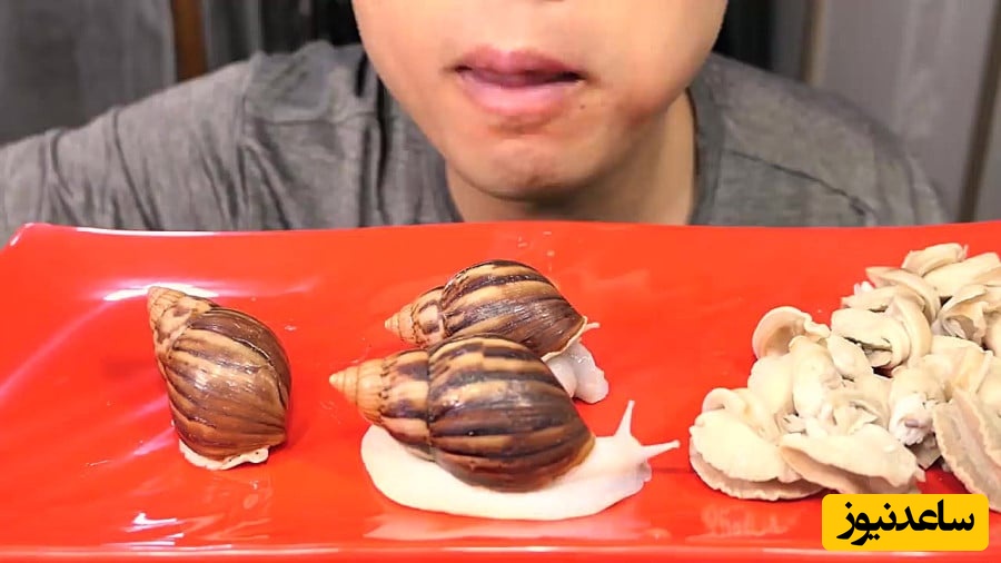 (ویدیو) پسری که جان خود را در بازی جرات و حقیقت از دست داد/ چه کسی فکرش را می‌کرد یک حلزون اینقدر خطرناک باشد؟!