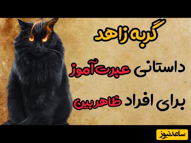حکایتهای خواندنی/ داستان های کلیله و دمنه؛ دعوای دو کبک و قضاوت گربه زاهد