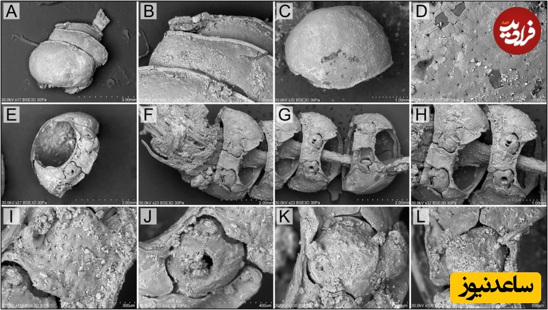 تصویر بزرگنمایی شده از مهره‌های یافت شده در مقبره