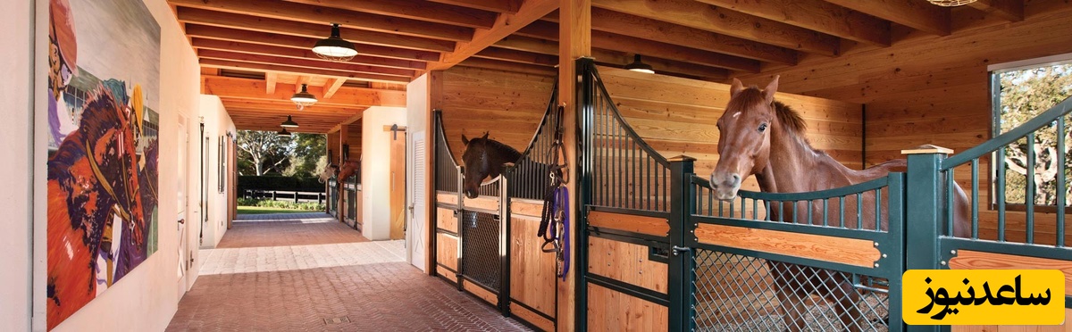 دیدن اصطبل در خواب چه تعبیری دارد؟ / تعبیر خواب اصطبل