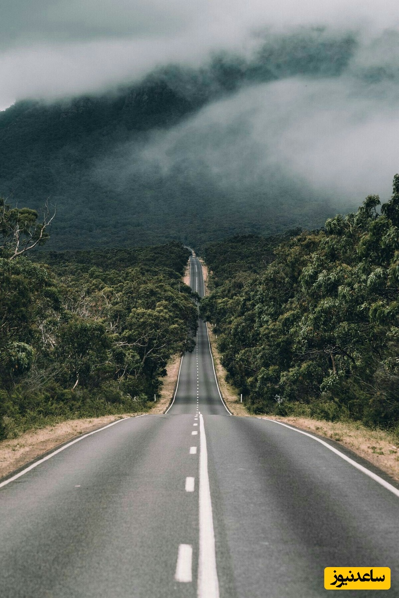 دیدن جاده در خواب چه تعبیری دارد؟ / تعبیر خواب جاده