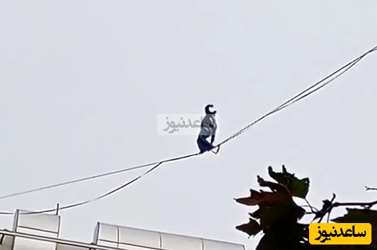 خلاقیت خطرناک دختر جوان روی سیم‌های معلق بین ساختمان+ویدئو /بنازم به این ذهن مریض