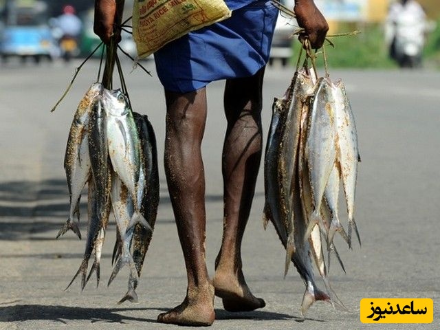 (عکس) خلاقیت باورنکردنی ماهیگیران فقیر سریلانکا برای رفتن به دریا بدون قایق، برنده جایزه مسابقات عکاسی 2024 شد/ چه عکس هنری و جذابی هم از فقر گرفته👌