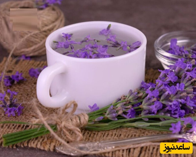 دمنوش لاوندر