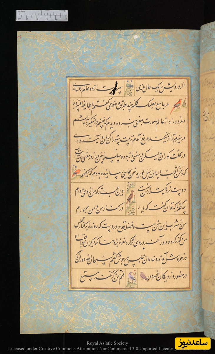 گلستان سعدی به خط محمدحسین کشمیری و نقاشی مانوهار داس نسخهٔ کتابخانهٔ دیجیتال دانشگاه کمبریج