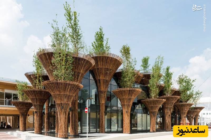 (ویدیو) خانه هایی فوق‌العائده محشر از جنس بامبو که از فولاد هم مقاوم تره!/ چوبی معجزه‌آسا که باور نمیکنی چه آثاری ازش خلق میشه!/ هوش سازندش ستودنیه