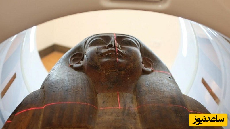یک مومیایی که برای ۱۵۱ سال درون تابوت سنگیِ درون موزه بود و کسی از آن خبر نداشت!