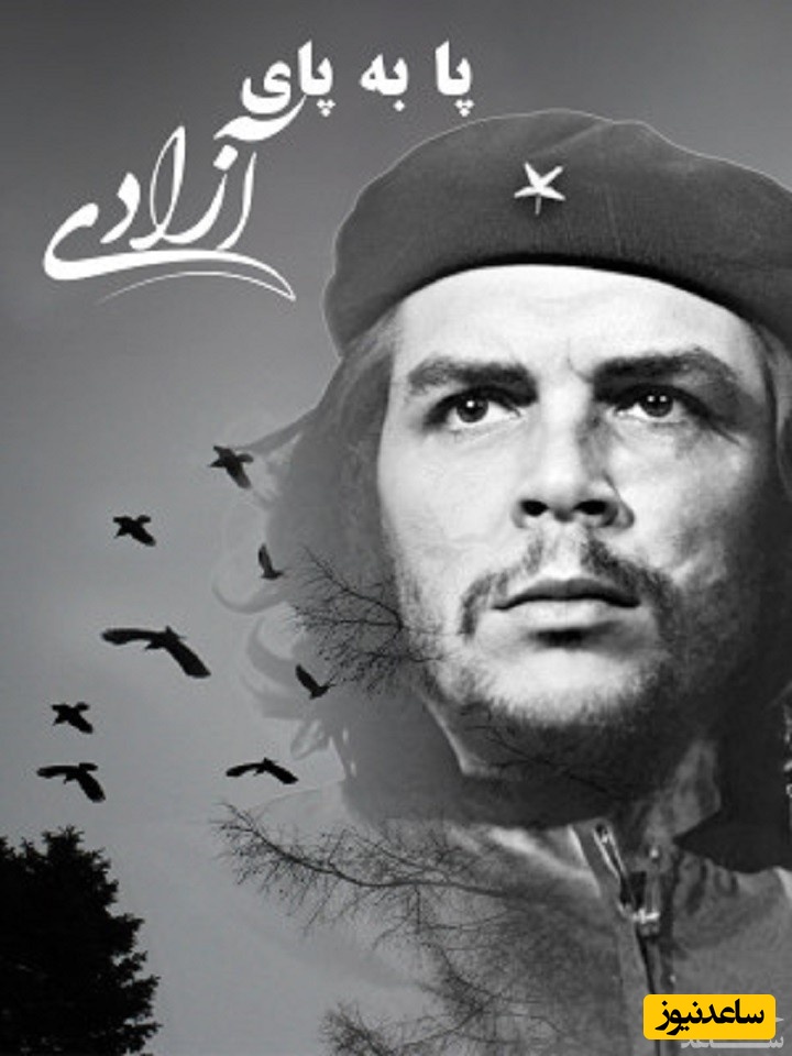 معرفی فیلم پا به پای آزادی