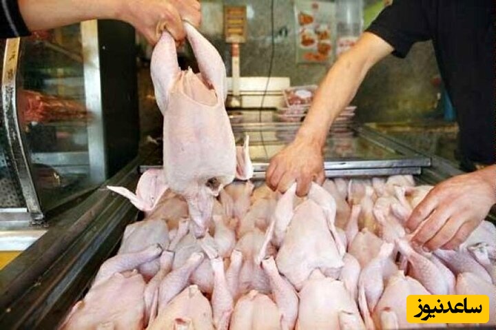 خبر خوش برای خانوار!/ قیمت مرغ دوباره ارزان شد +قیمت جدید