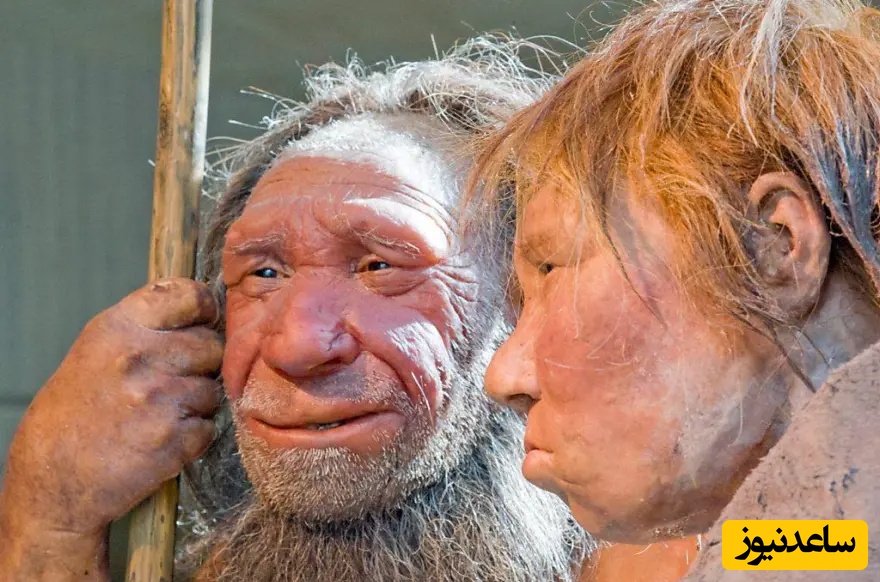 ویدئو/ رونمایی از بزرگ‌ترین کشف باستان‌شناسی تاریخ ایران؛ «غار قلعه کرد»، خانه 475 هزار ساله‌ انسان‌های نخستین با بقایای نئاندرتال‌ها و حیوانات غول‌پیکر منقرض‌شده