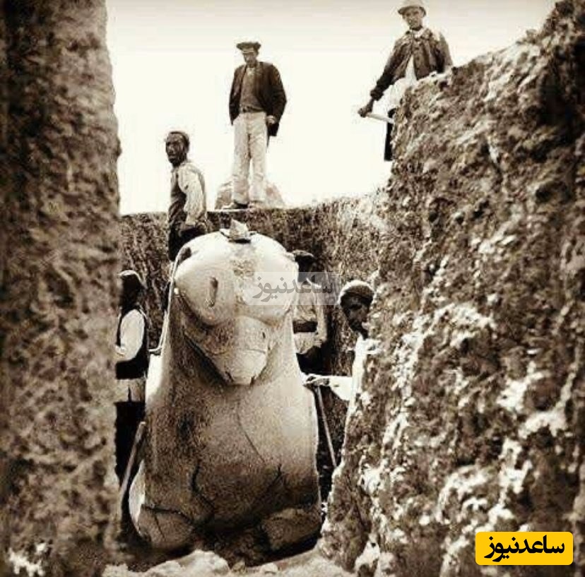 شیردال تخت جمشید