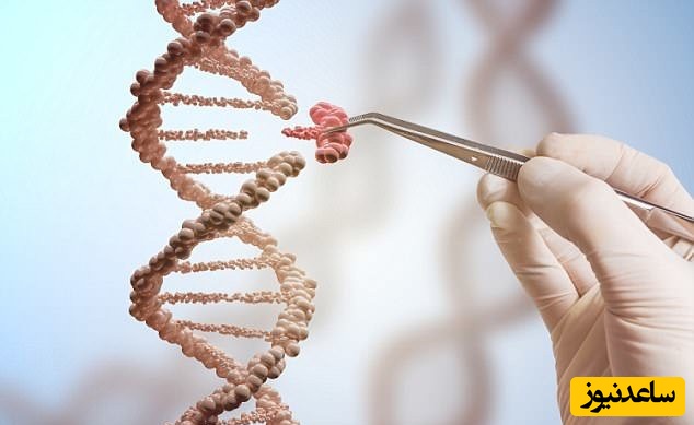 موفقیت تا چه میزان ژنتیکی است؟