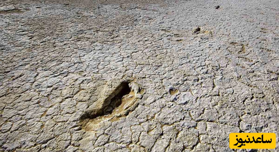 ردپاهای باستانی در منطقه‌ی دریاچه‌های ویلاندرا کشف شده‌اند