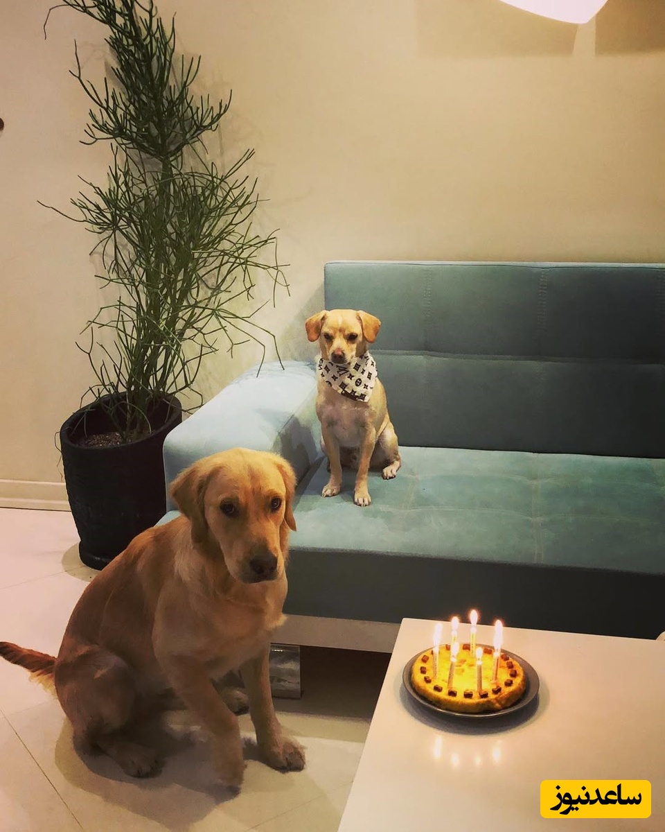 منزل شیدا خلیق و کیوان ساکت اف