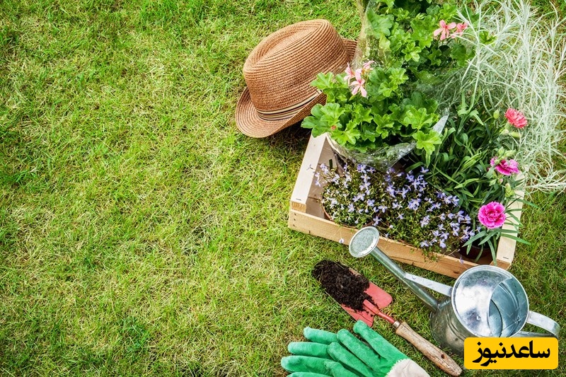 نمونه کارنامه و ظرفیت پذیرش مجموعه علوم و مهندسی باغبانی در مقطع کارشناسی ارشد