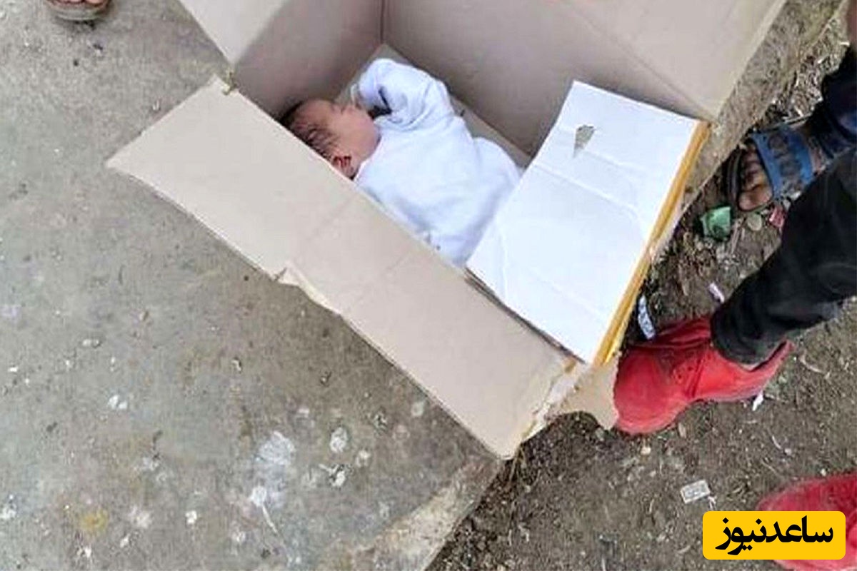ویدیو| نوزاد رها شده‌ای که شهید شد/ کودکی که در داخل یک مقوای کوچک رها شده بود ولی ...